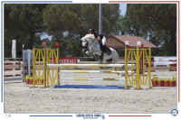Vente de poney